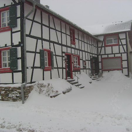 Ferienwohnung Duerbaum Schleiden Exterior foto