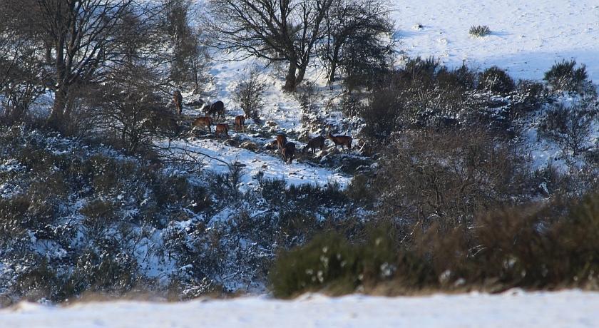 Ferienwohnung Duerbaum Schleiden Cameră foto