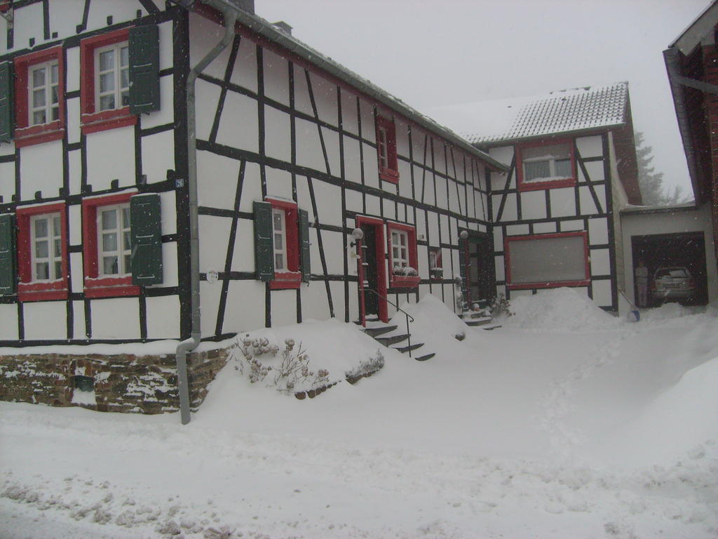 Ferienwohnung Duerbaum Schleiden Exterior foto