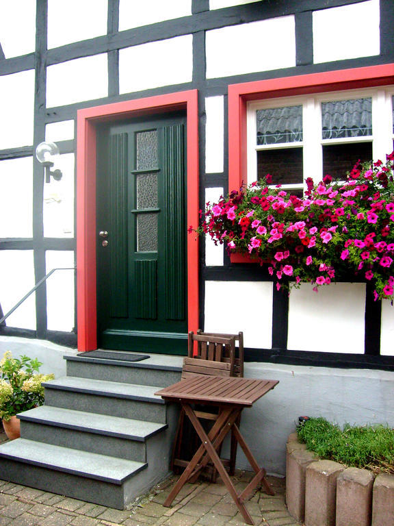 Ferienwohnung Duerbaum Schleiden Exterior foto